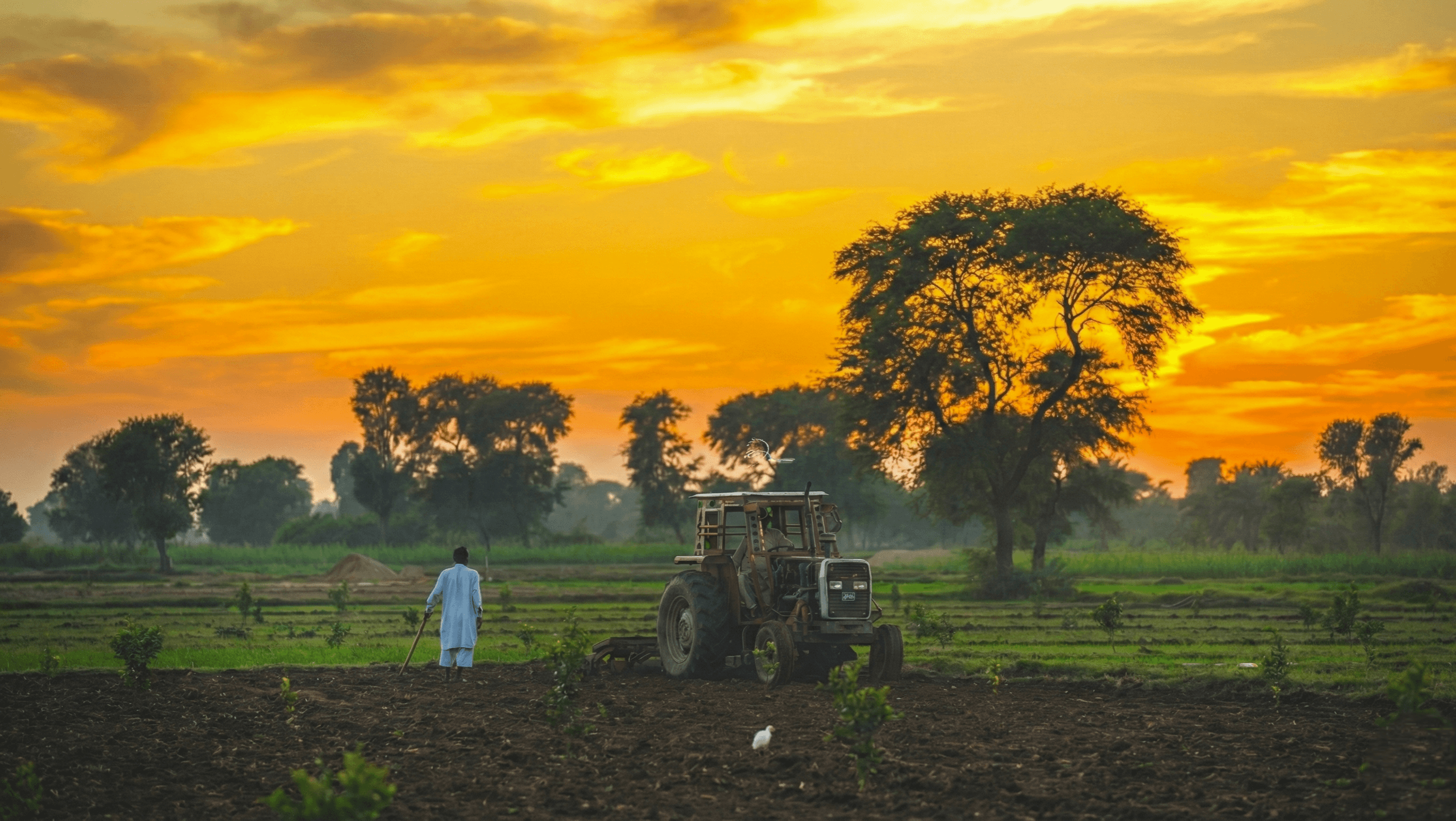 Smart Farming Dashboard